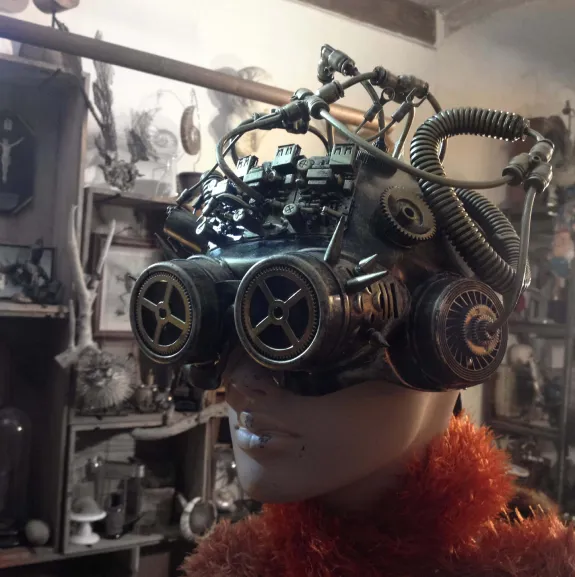 La Taverne De Platon Cabinet De Curiosites Aix En Provence Cabinet De Curiosites