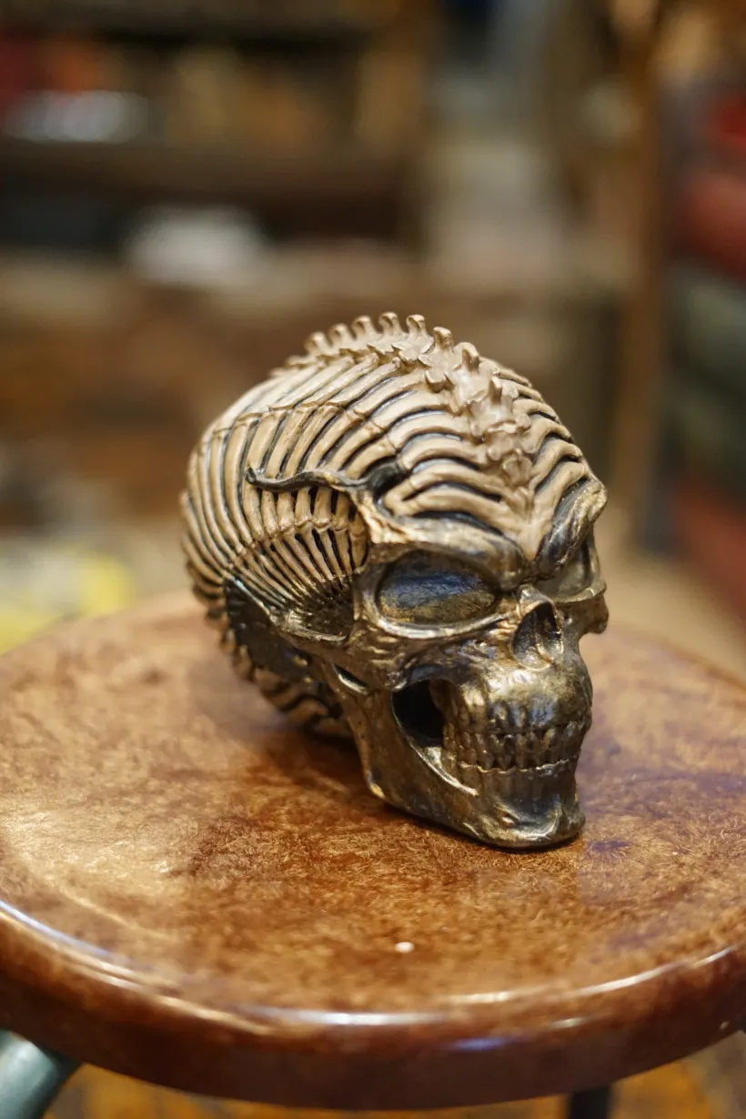 La Taverne De Platon Cabinet De Curiosites Aix En Provence Galerie 2