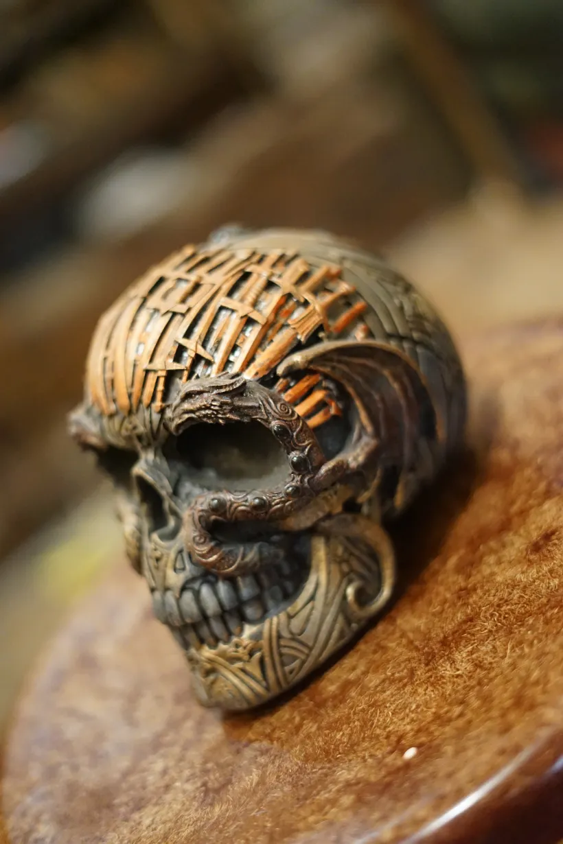 La Taverne De Platon Cabinet De Curiosites Aix En Provence Galerie 9