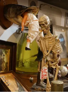 La Taverne De Platon Cabinet De Curiosites Aix En Provence Slide 1 1