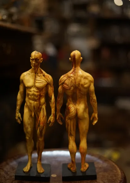 La Taverne De Platon Cabinet De Curiosites Aix En Provence Slide 1 2