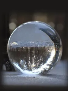 La Taverne De Platon Cabinet De Curiosites Aix En Provence Slide 3 1