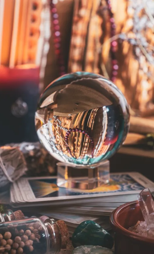 La Taverne De Platon Cabinet De Curiosites Aix En Provence Slide 3