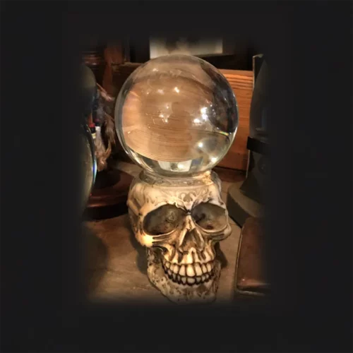 La Taverne De Platon Cabinet De Curiosites Aix En Provence 01 Boule De Cristal