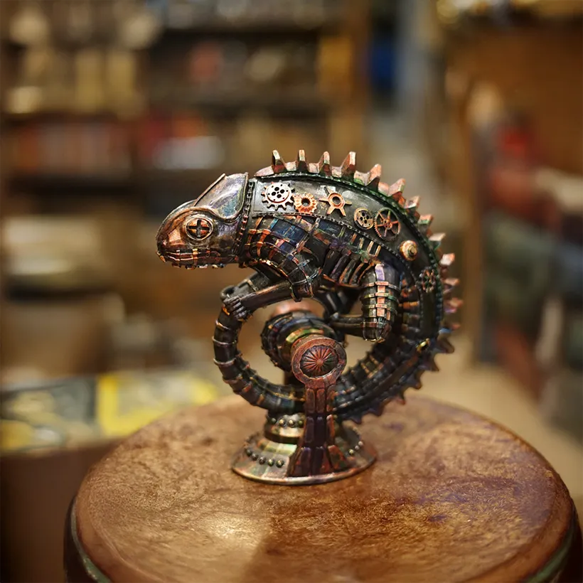 La Taverne De Platon Cabinet De Curiosites Aix En Provence 01 Cameleon Steampunk