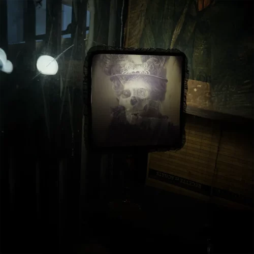 La Taverne De Platon Cabinet De Curiosites Aix En Provence 02 Abat Jour 2