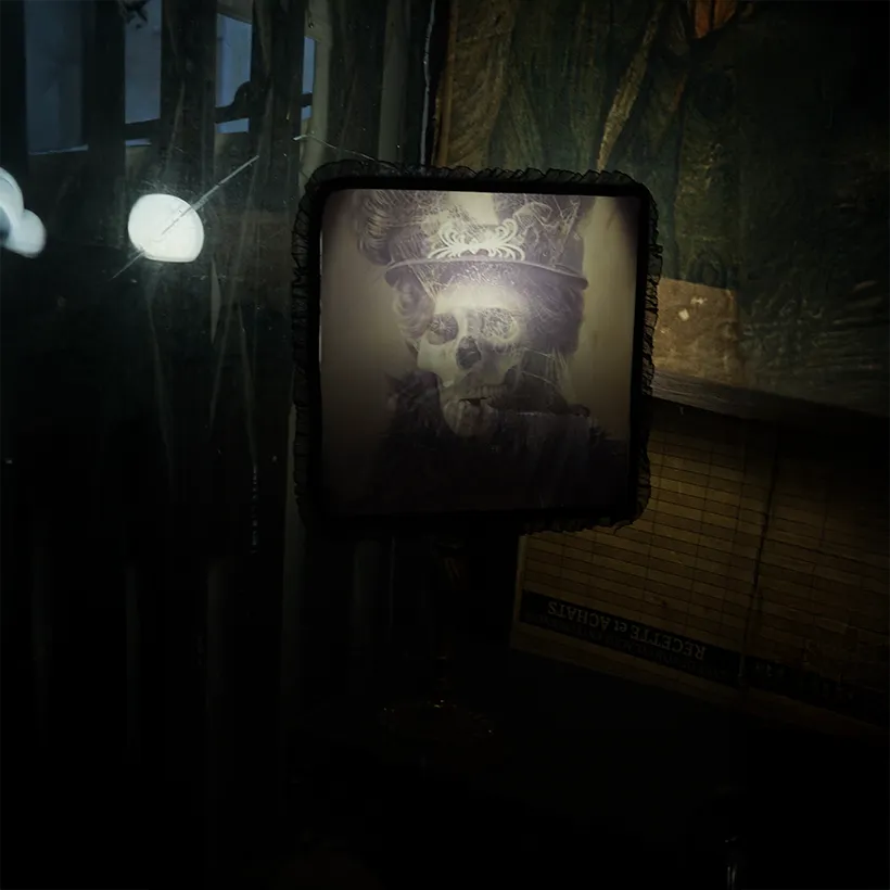 La Taverne De Platon Cabinet De Curiosites Aix En Provence 02 Abat Jour 2