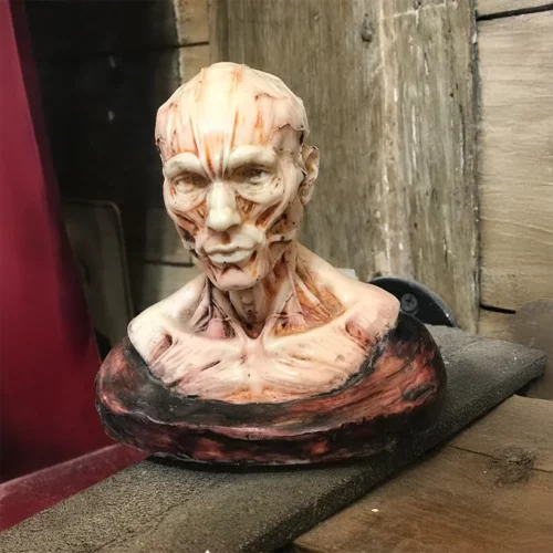 La Taverne De Platon Cabinet De Curiosites Aix En Provence 02 Buste Ecorche