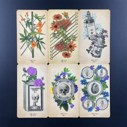 La Taverne De Platon Cabinet De Curiosites Aix En Provence 02 Tarot Memento Mori 2