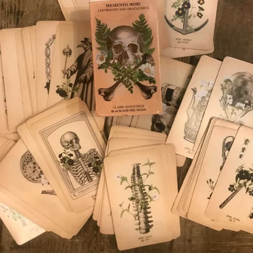 La Taverne De Platon Cabinet De Curiosites Aix En Provence 02 Tarot Memento Mori