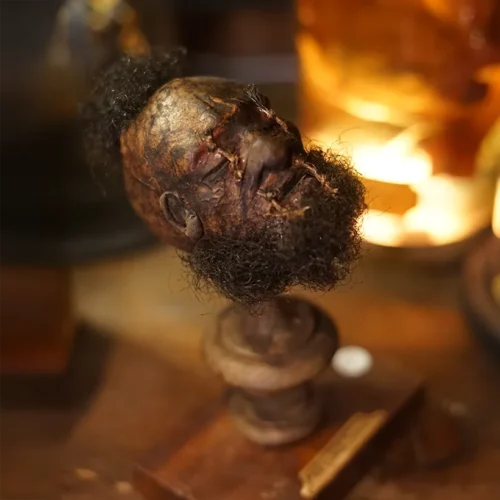 La Taverne De Platon Cabinet De Curiosites Aix En Provence 03 Tete Reduite Indien Jivaros 3