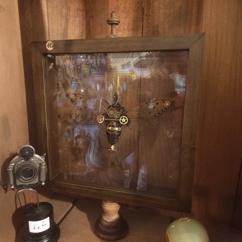 La Taverne De Platon Cabinet De Curiosites Aix En Provence 04 Cigale Steampunk