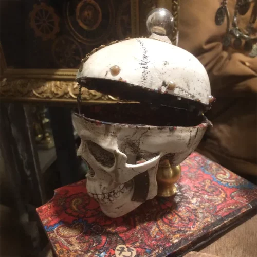 La Taverne De Platon Cabinet De Curiosites Aix En Provence 06 Crane Boite A Bijoux