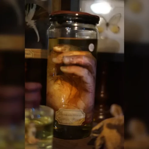 La Taverne De Platon Cabinet De Curiosites Aix En Provence 06 Main Silicone2