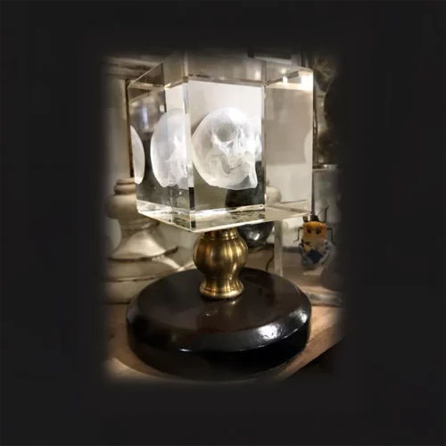 La Taverne De Platon Cabinet De Curiosites Aix En Provence 07 Crane 4d Cristal 2