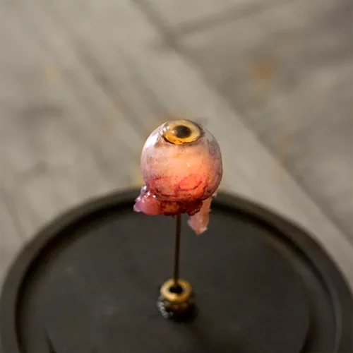 La Taverne De Platon Cabinet De Curiosites Aix En Provence 07 Oeil Silicone