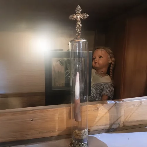 La Taverne De Platon Cabinet De Curiosites Aix En Provence 08 Doigt Vampire 02