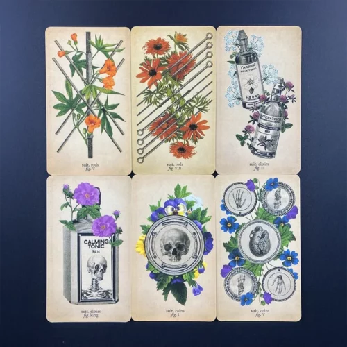 La Taverne De Platon Cabinet De Curiosites Aix En Provence 08 Tarot Anatomy 1