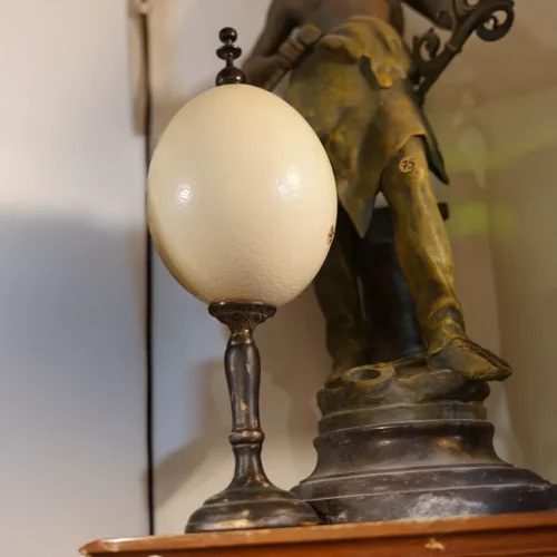 La Taverne De Platon Cabinet De Curiosites Aix En Provence 10 Oeuf Autruche