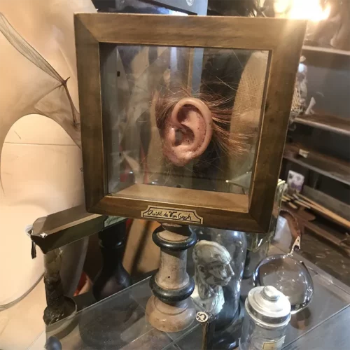 La Taverne De Platon Cabinet De Curiosites Aix En Provence 13 Oreille Van Gogh