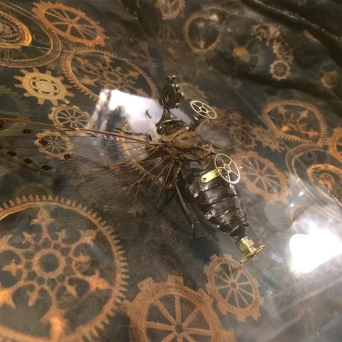 La Taverne De Platon Cabinet De Curiosites Aix En Provence 15 Cigale Steampunk