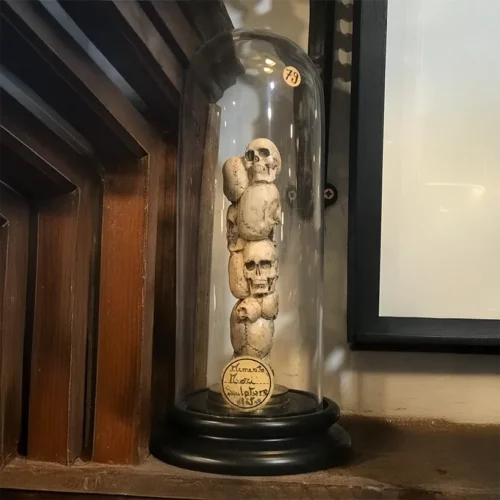 La Taverne De Platon Cabinet De Curiosites Aix En Provence 18 Totem Crane Platre