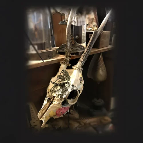 La Taverne De Platon Cabinet De Curiosites Aix En Provence 19 Crane Daguet Deco Alice