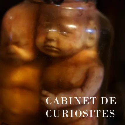 La Taverne De Platon Cabinet De Curiosites Aix En Provence Cabinet De Curiosites 1