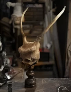 La Taverne De Platon Cabinet De Curiosites Aix En Provence Imag 2 H1