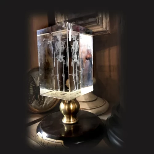 La Taverne De Platon Cabinet De Curiosites Aix En Provence Squelette 4D Cristal