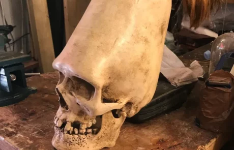 La Taverne De Platon Cabinet De Curiosites Aix En Provence Crane Perou 1