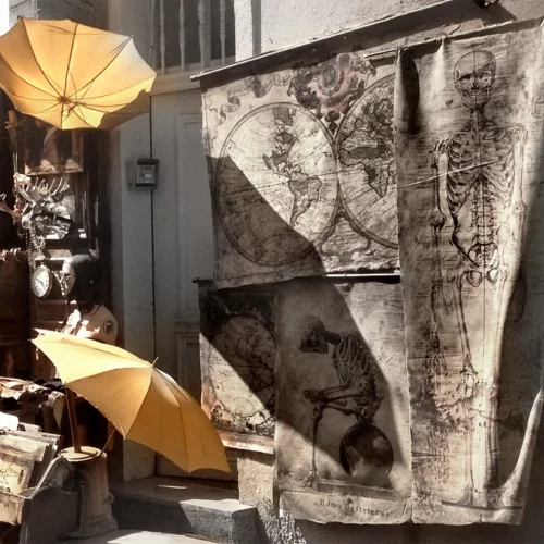 La Taverne De Platon Cabinet De Curiosites Aix En Provence La Taverne De Platon Cabinet De Curiosites Aix En Provence 04 225 X 50 3