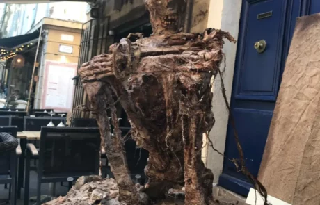 La Taverne De Platon Cabinet De Curiosites Aix En Provence Momie 1