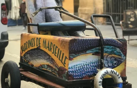 La Taverne De Platon Cabinet De Curiosites Aix En Provence Sardine Face 1