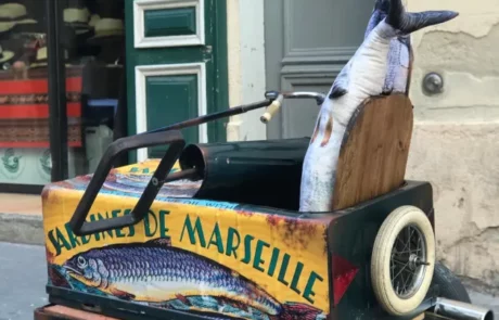 La Taverne De Platon Cabinet De Curiosites Aix En Provence Sardinedos 1