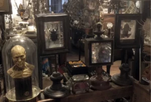 La Taverne De Platon Cabinet De Curiosites Aix En Provence Wcdc 1 1