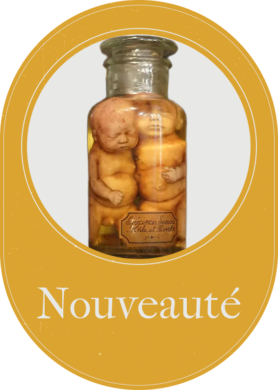 La Taverne De Platon Cabinet De Curiosites Aix En Provence Macaron Latavernedeplaton