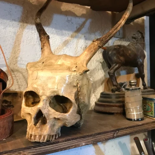 La Taverne De Platon Cabinet De Curiosites Aix En Provence Cernunnos4 1 2