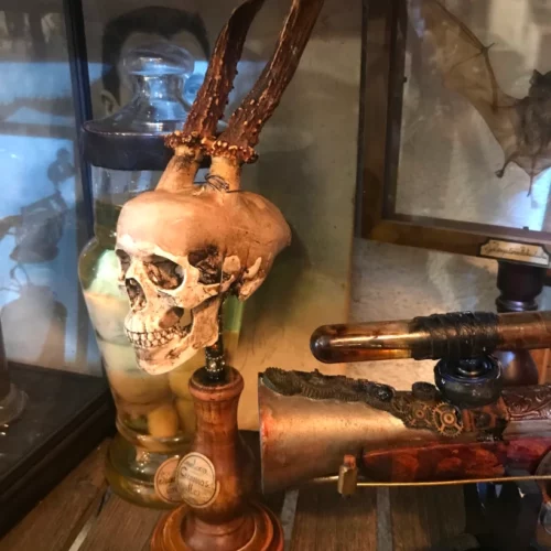 La Taverne De Platon Cabinet De Curiosites Aix En Provence Petit Cernunnos2 1