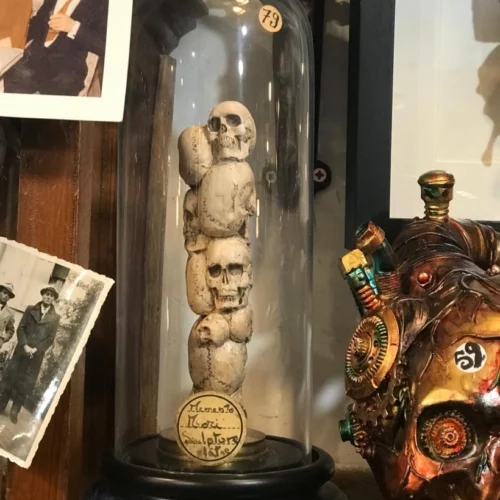 La Taverne De Platon Cabinet De Curiosites Aix En Provence Totem Crane Platre 1